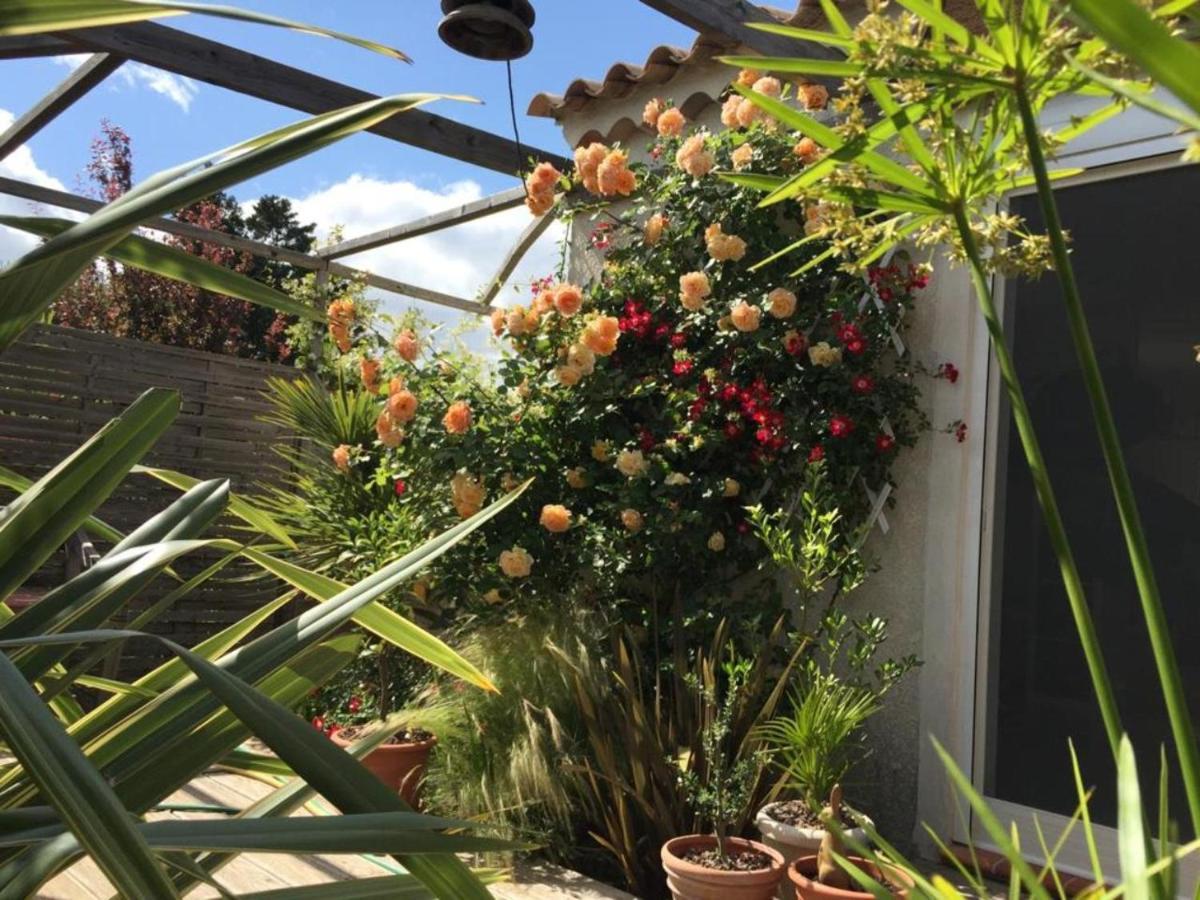 La Villa Vaihere En Camargue, L'Hibiscus Et Le Magnolia Saintes-Maries-de-la-Mer Exterior foto